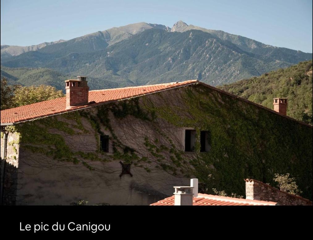 La Maison Du Bonheur Marquixanes Exteriér fotografie